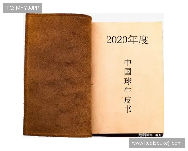 法丙联赛公布转播与财政新规